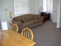 Living room with sofa bed