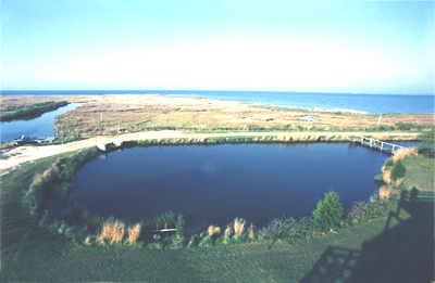 chesapeake bay front pond