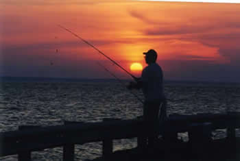 bridge fishing