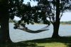 Enjoying the peace & quiet