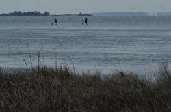 chesapeake bay kayak vacation