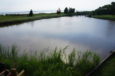 chesapeake bay front pond