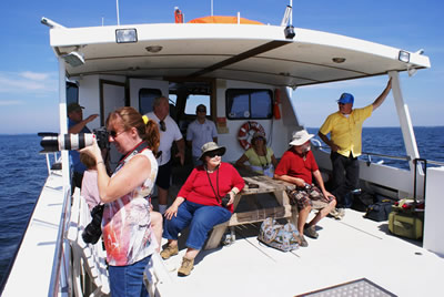 chesapeake bay lighthouse vacation