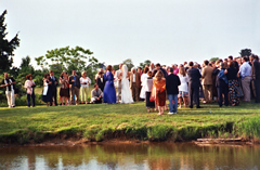 bayfront wedding