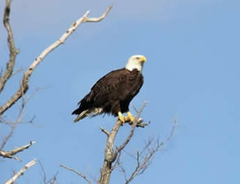 chesapeake bay photographers vacation