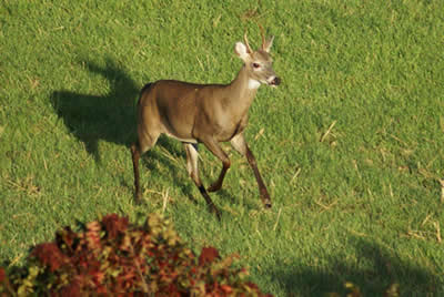 chesapeake bay photographers vacation