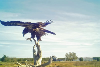 chesapeake bay photographers vacation