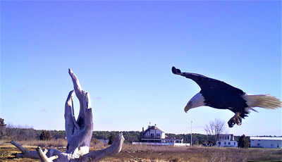 chesapeake bay photographers vacation