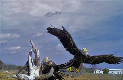 chesapeake bay photographers vacation