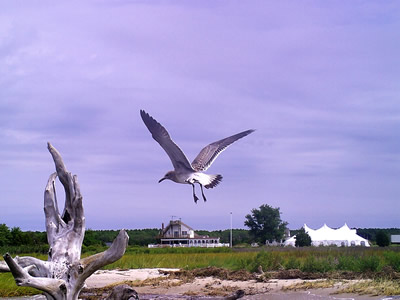 chesapeake bay photographers rental