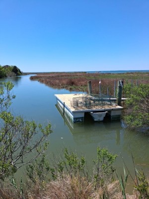 chesapeake bay vacation