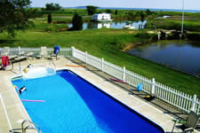 view of swim pool