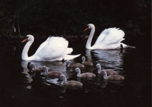 photography in Chesapeake Bay