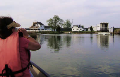 chesapeake bay paddleboard vacation